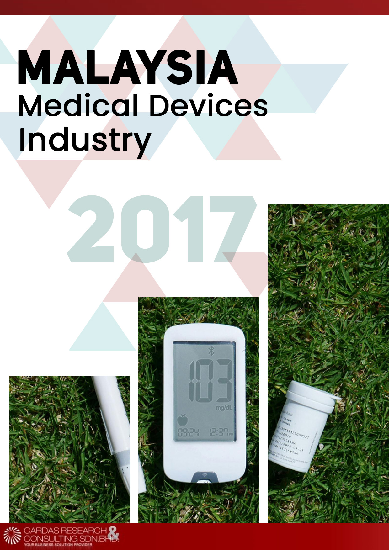 Medical Devices Industry In Malaysia An Overview 2017 - Cardas Research ...